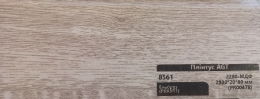   AGT  8561